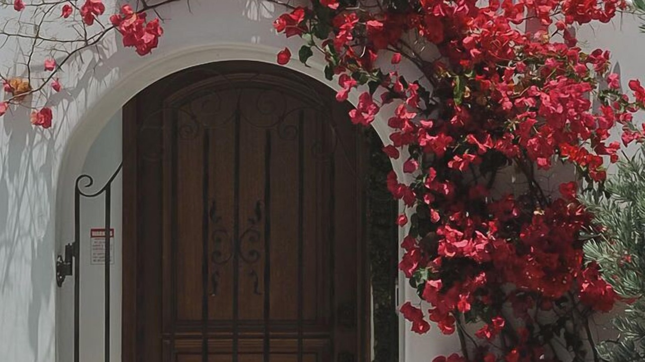 Photo of Outdoor in San Clemente