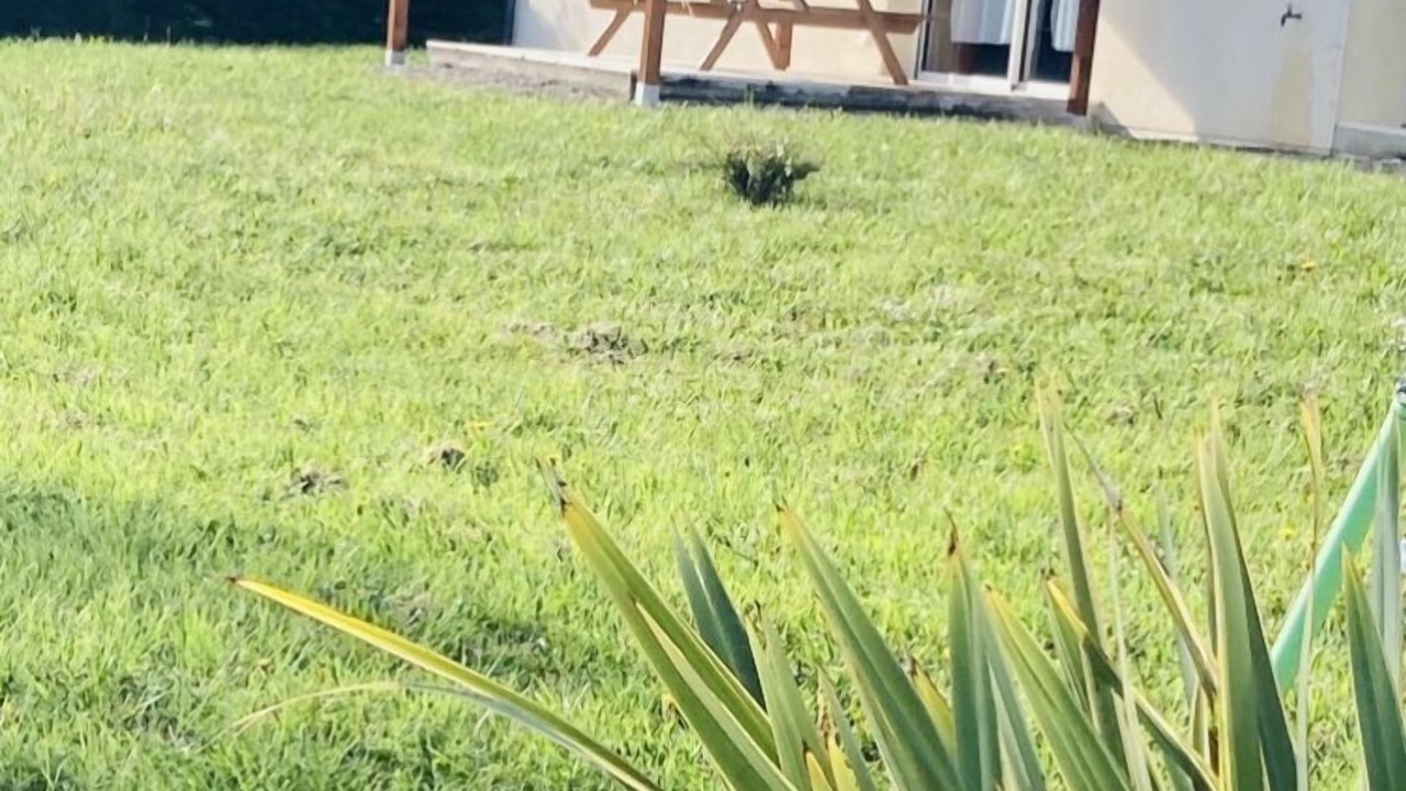 Photo of Outdoor in Gamarde-les-Bains