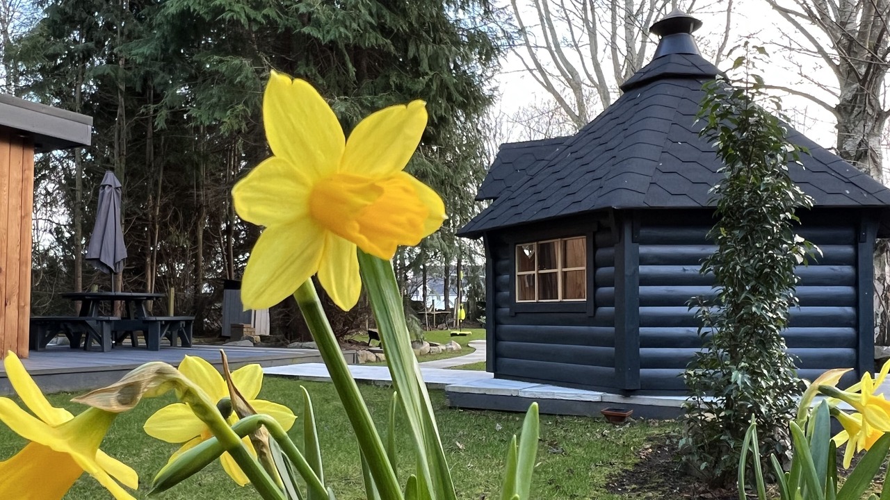 Photo of Others in Kincardine O'Neil