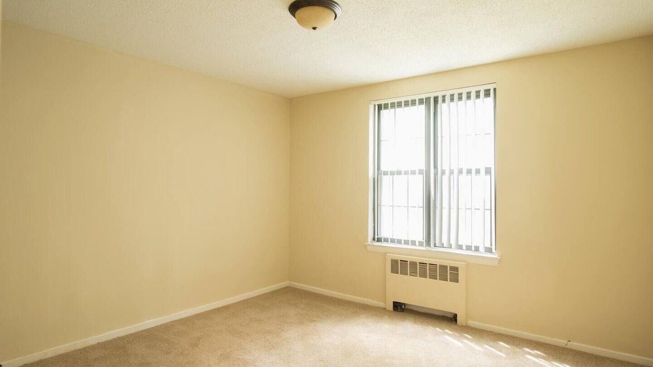 Photo of Others in Albany