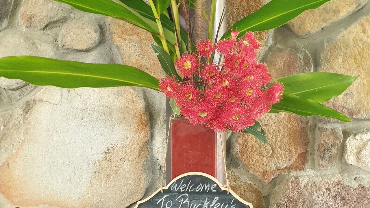 Photo of Outdoor in Kin Kin