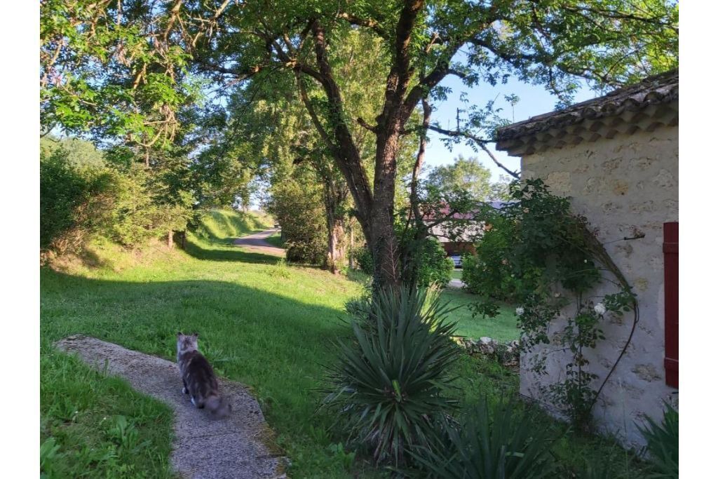 Photo of Outdoor in Sauveterre