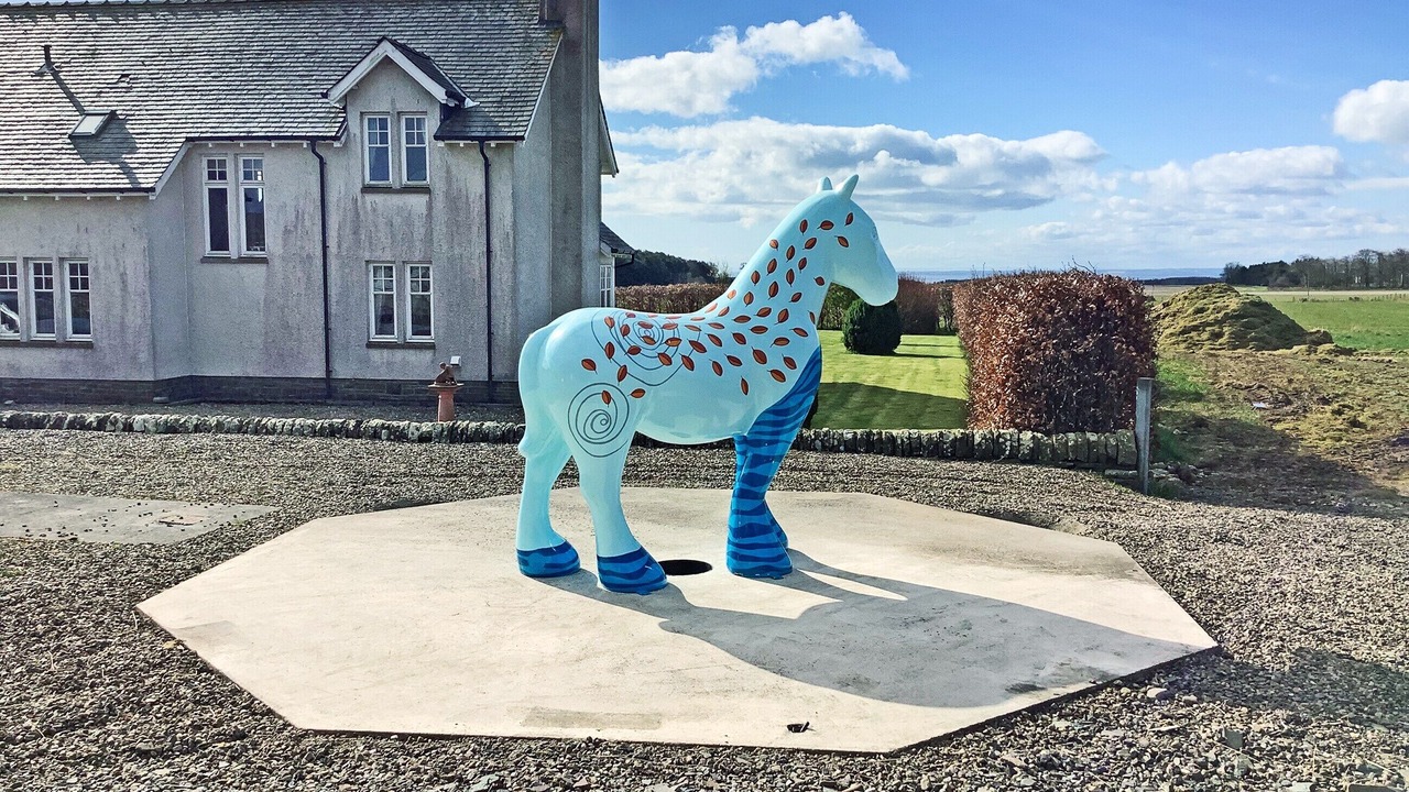 Photo of Outdoor in Arbroath