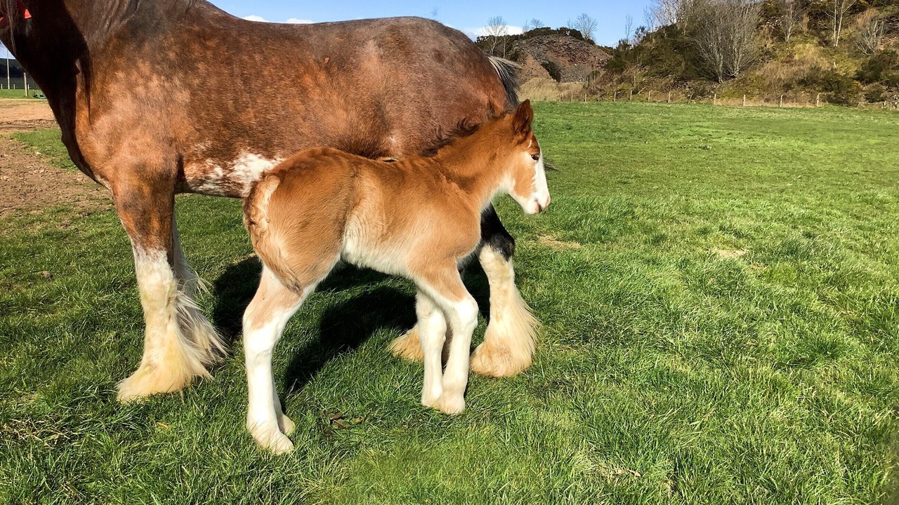 Photo of Outdoor in Arbroath