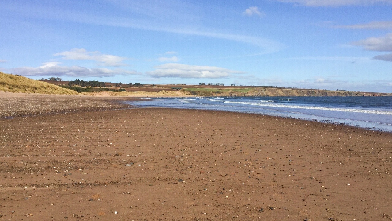 Photo of Others in Arbroath