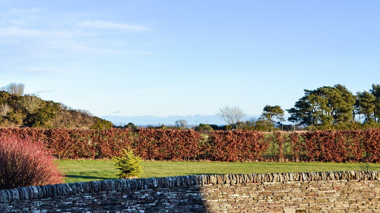 Photo of Outdoor in Arbroath