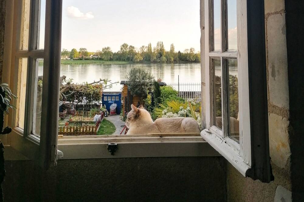 Photo of Others in Les Ponts-de-Ce