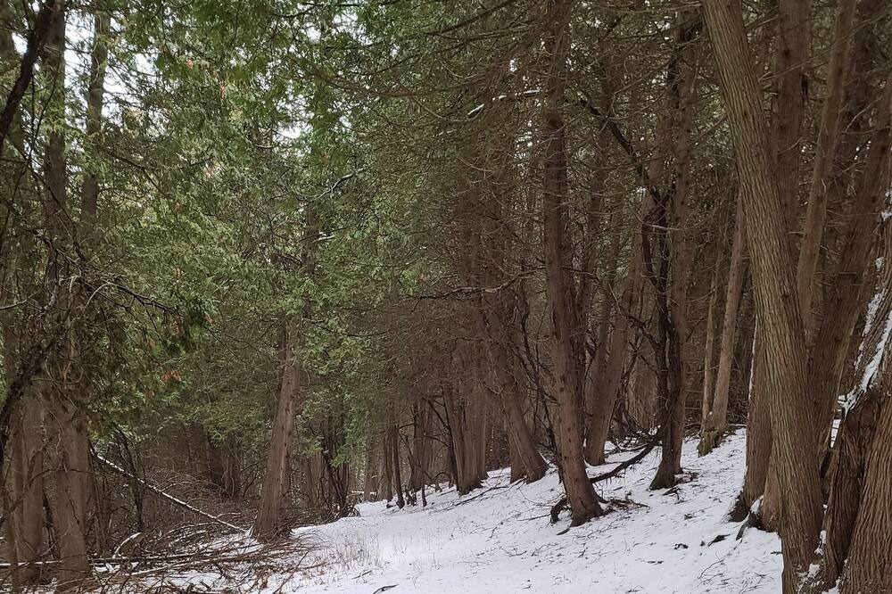 Photo of Outdoor in Brock