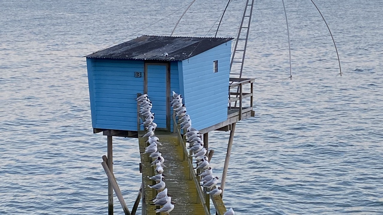 Photo of Others in Pornic
