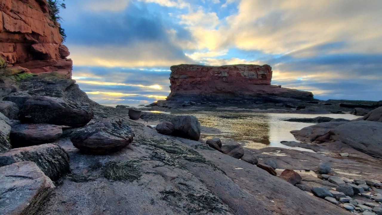 Photo of Others in Saint John County