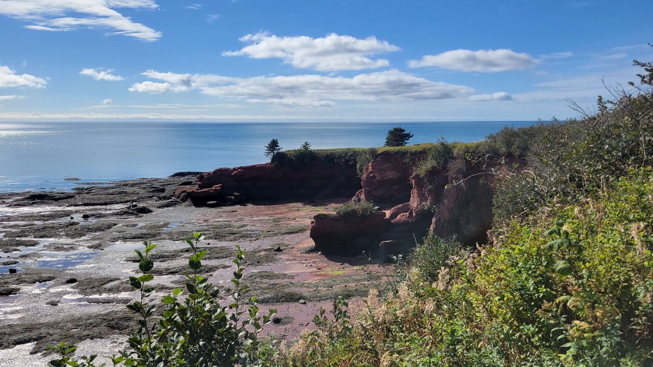 Photo of Others in Saint John County