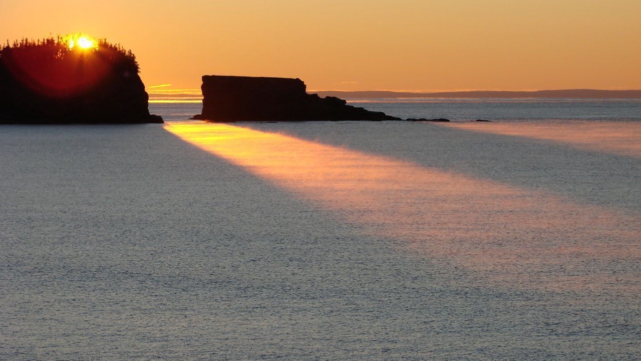 Photo of Others in Saint John County