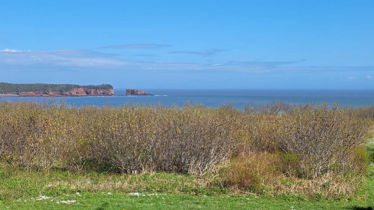 Photo of Outdoor in Saint John County