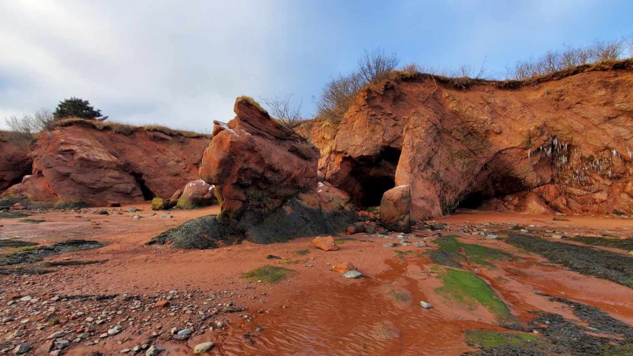 Photo of Outdoor in Saint John County
