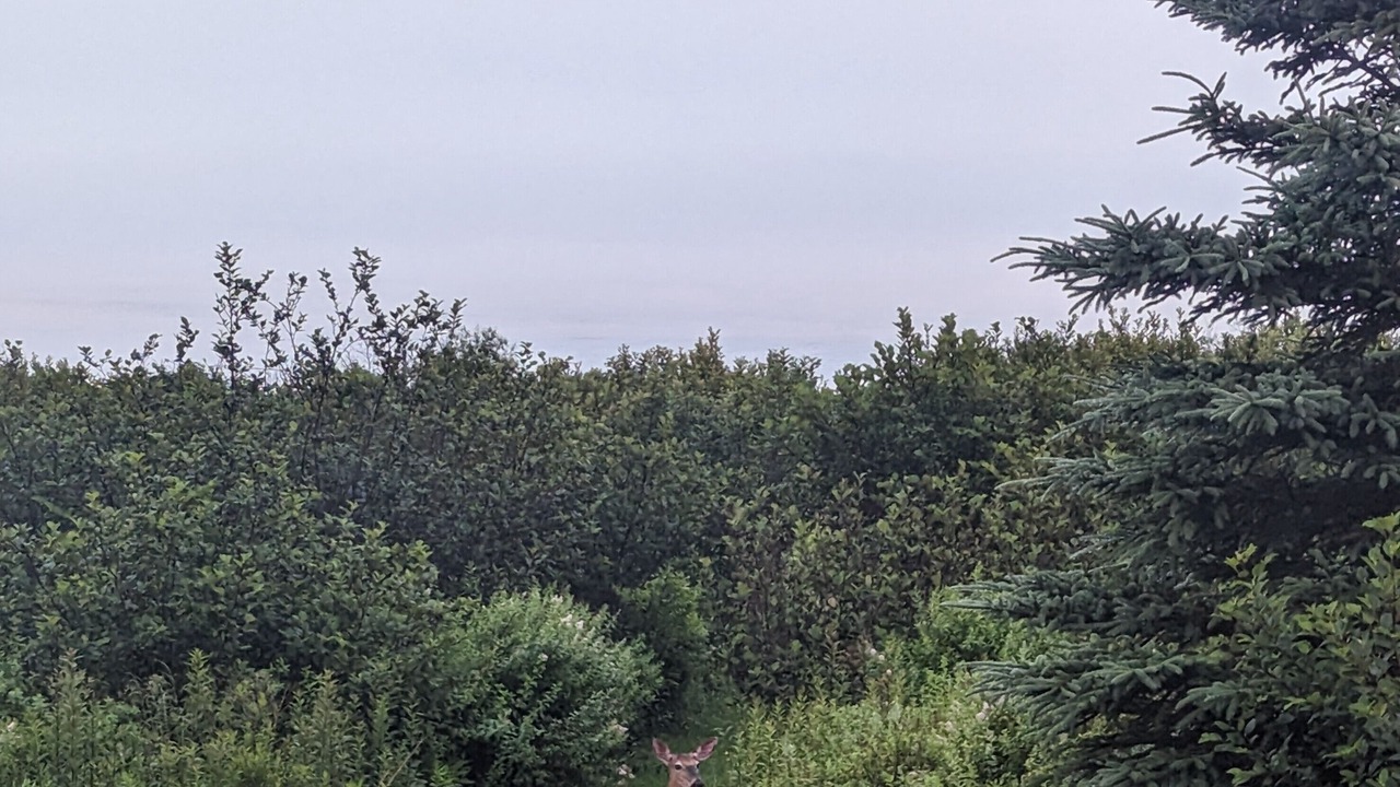 Photo of Others in Saint John County