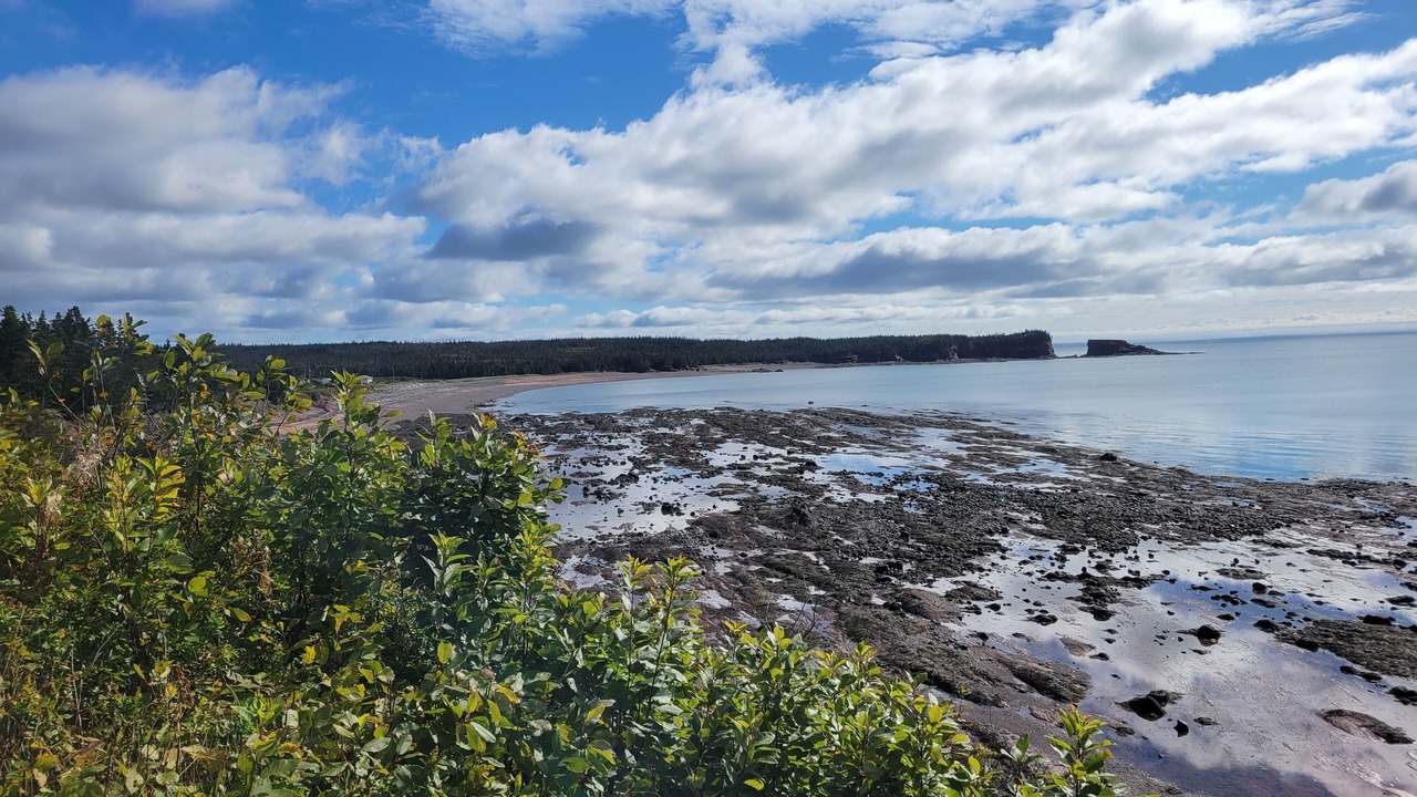 Photo of Others in Saint John County