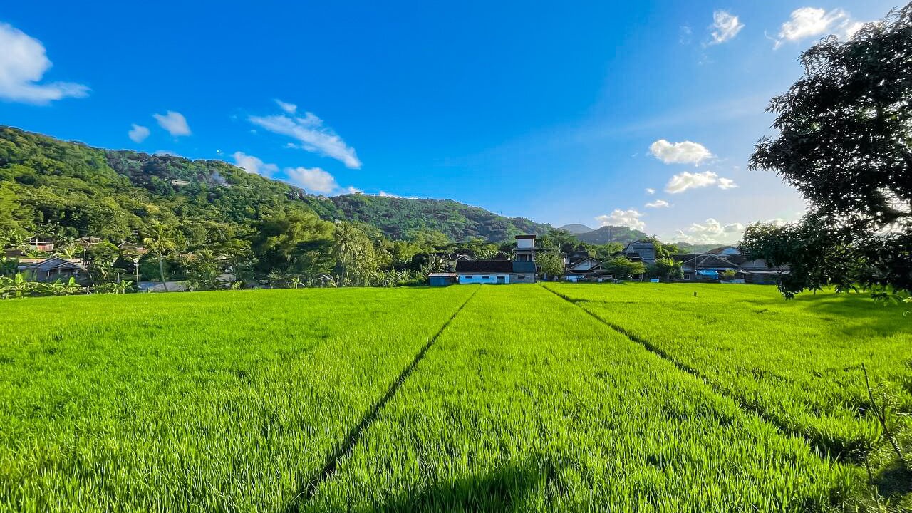 Photo of Outdoor in Srimulyo