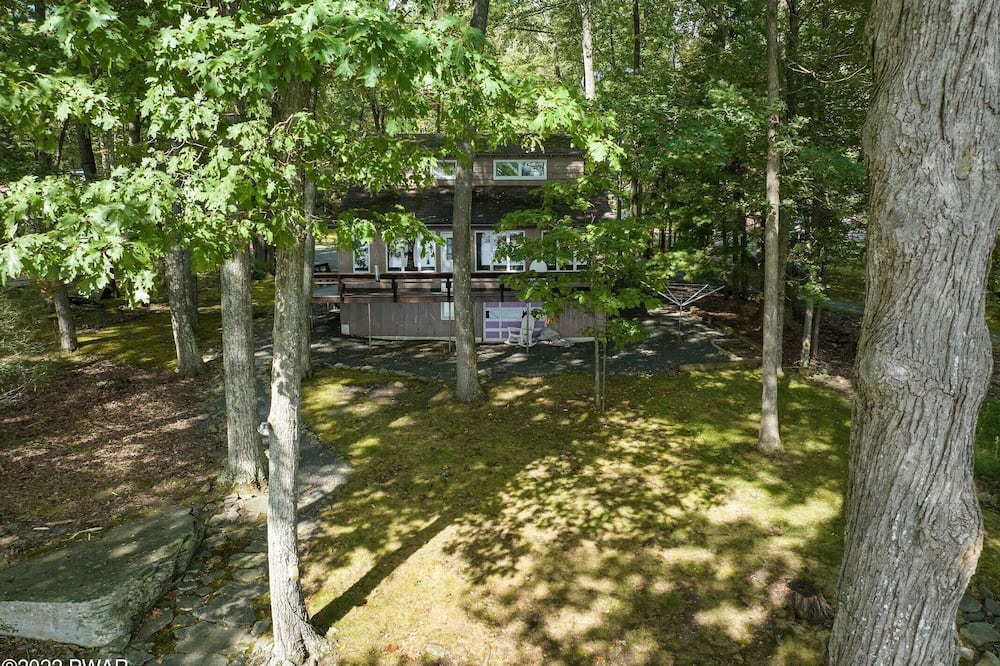 Photo of Outdoor in Sunny Point