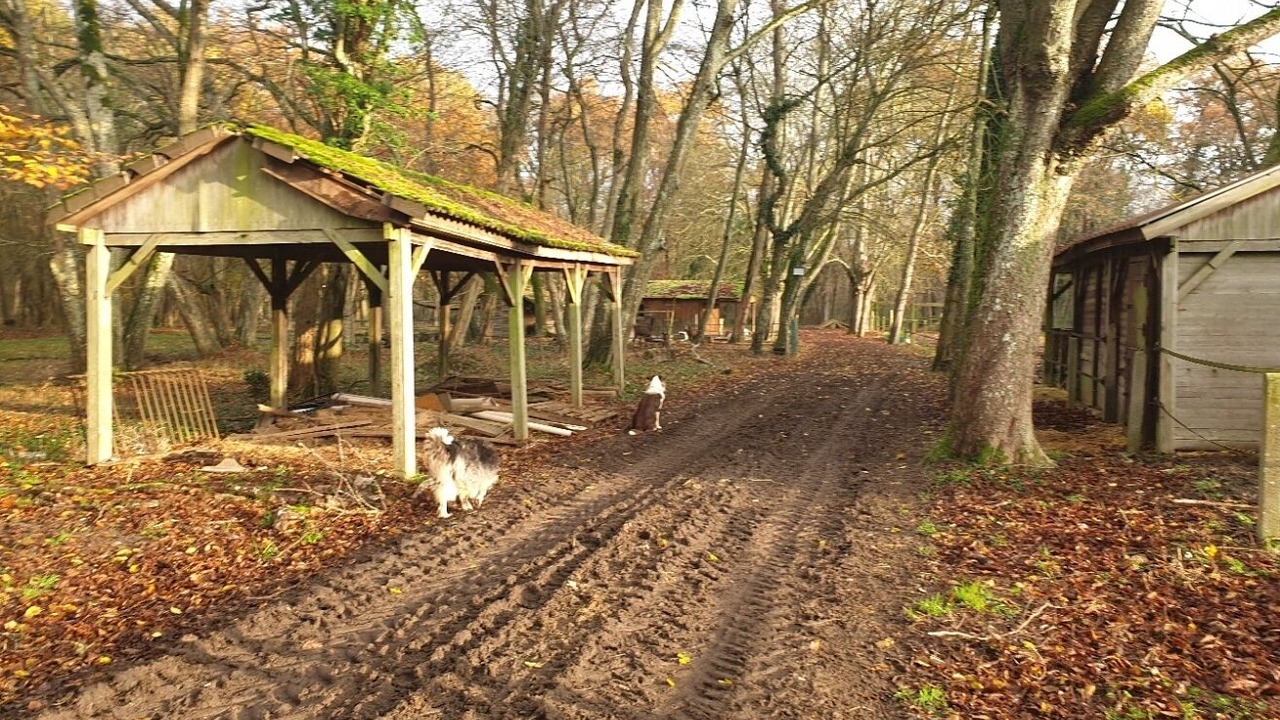 Photo of Outdoor in Ury
