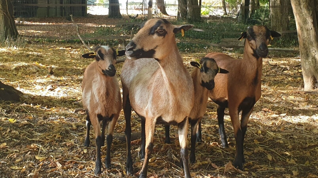 Photo of Others in Ury
