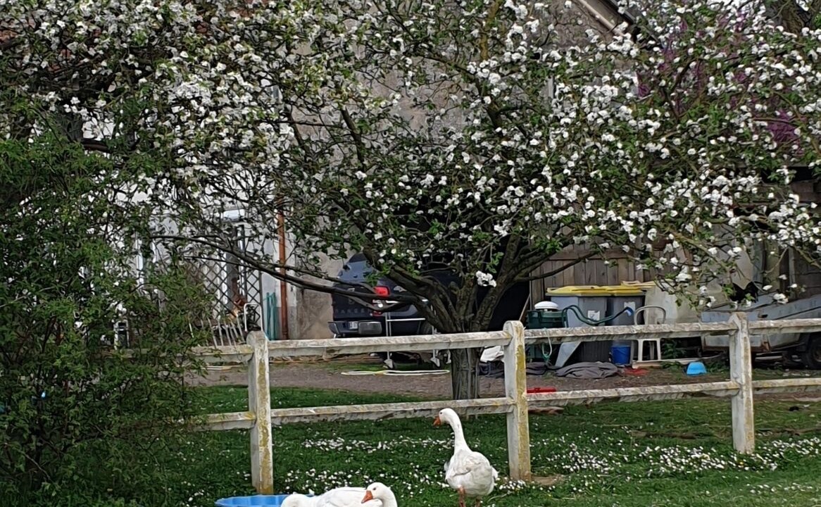 Photo of Outdoor in Ury