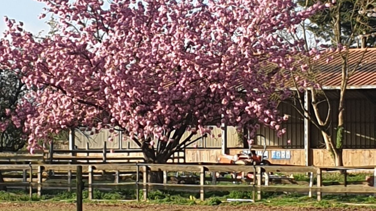 Photo of Outdoor in Ury