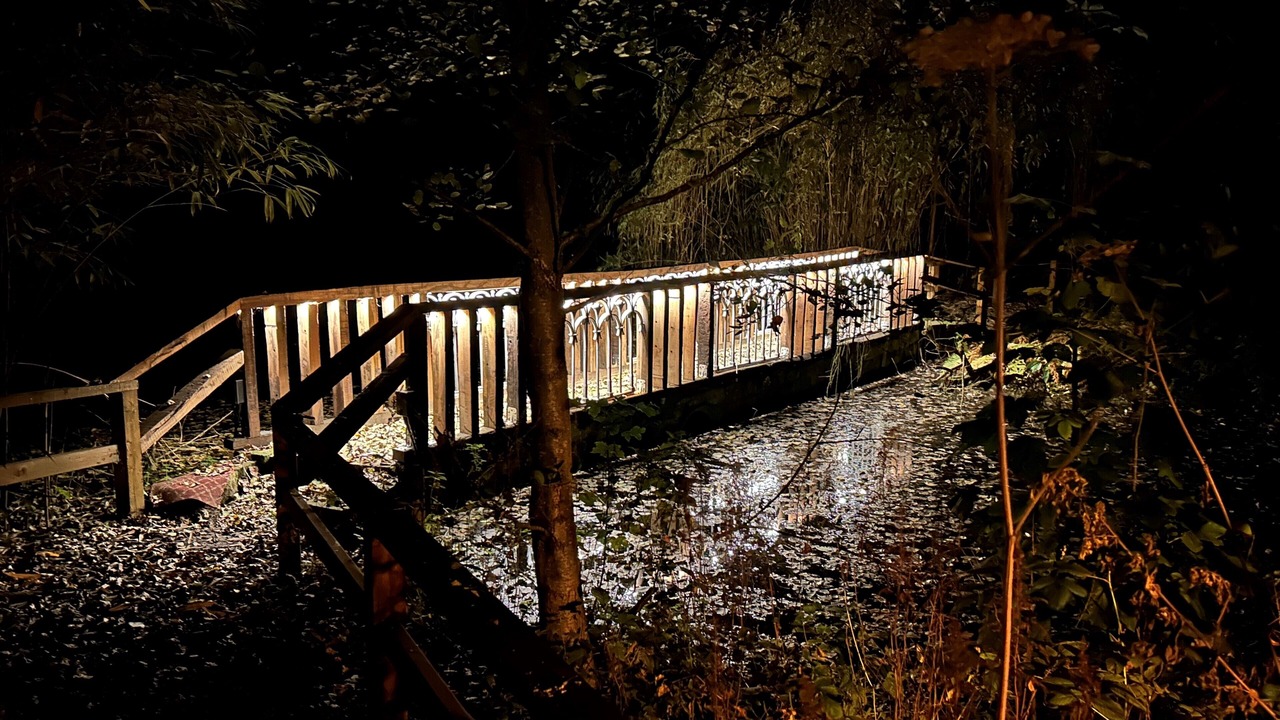 Photo of Others in Mansfield