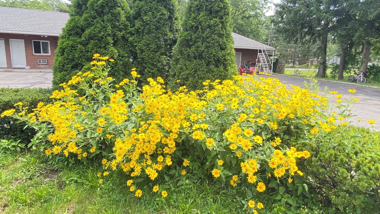 Photo of Outdoor in Lake Katrine
