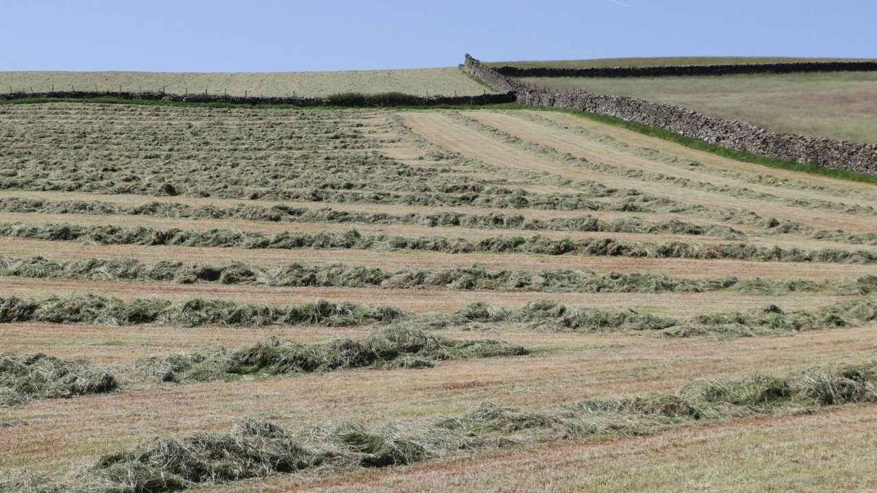 Photo of Others in Newland Near Ulverston