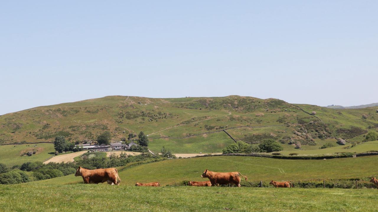 Photo of Others in Newland Near Ulverston