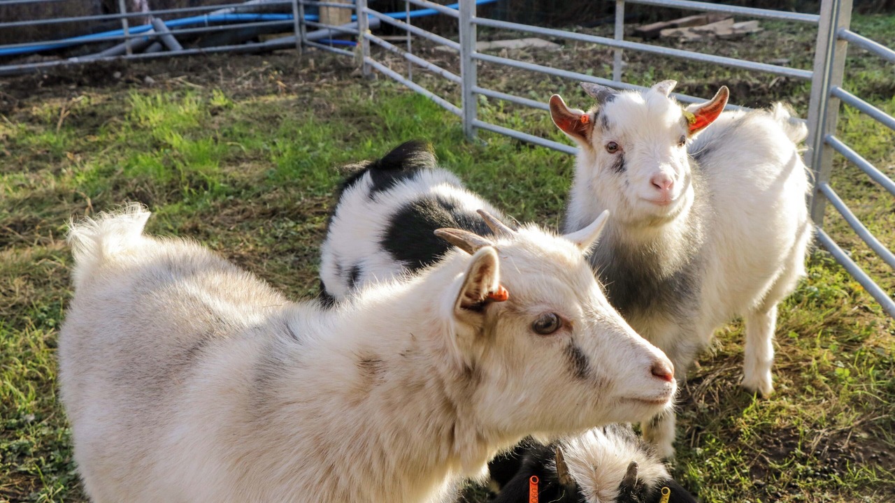 Photo of Others in Newland Near Ulverston