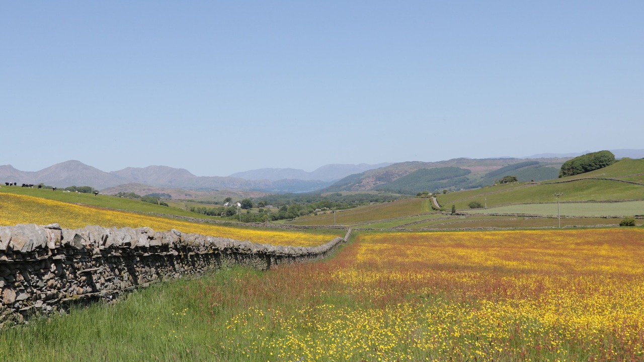 Photo of Others in Newland Near Ulverston