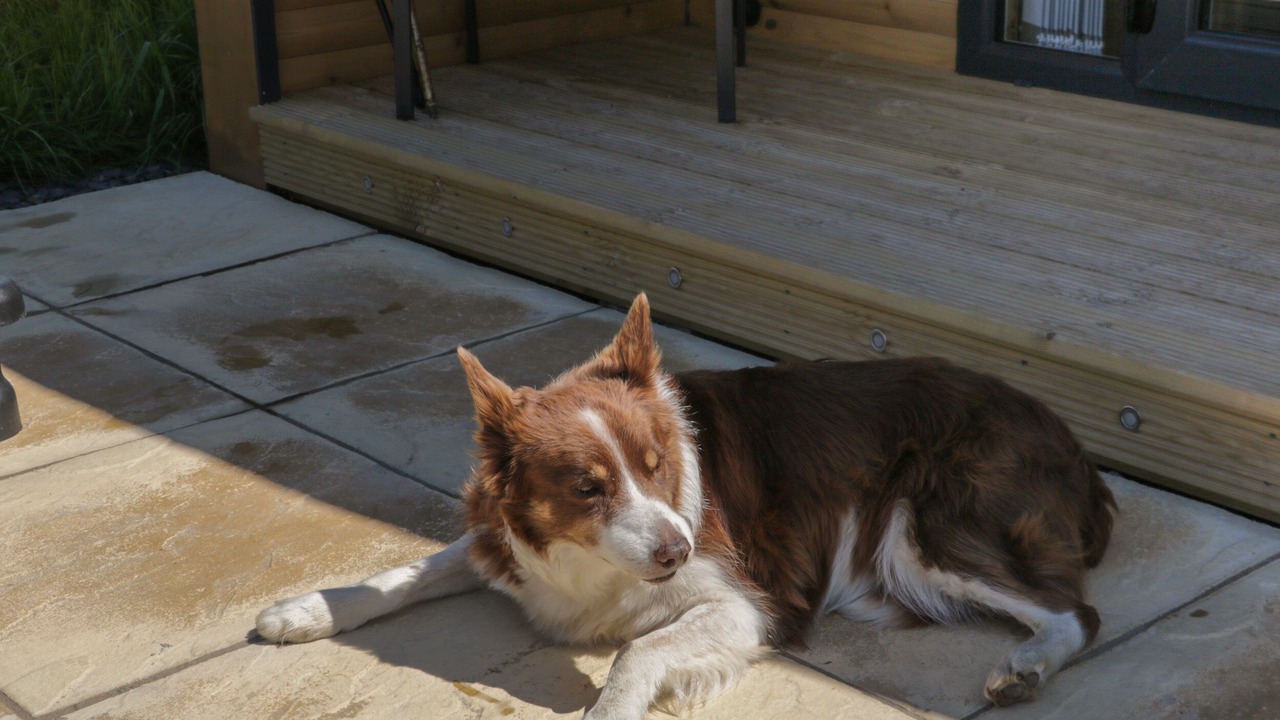 Photo of Others in Newland Near Ulverston