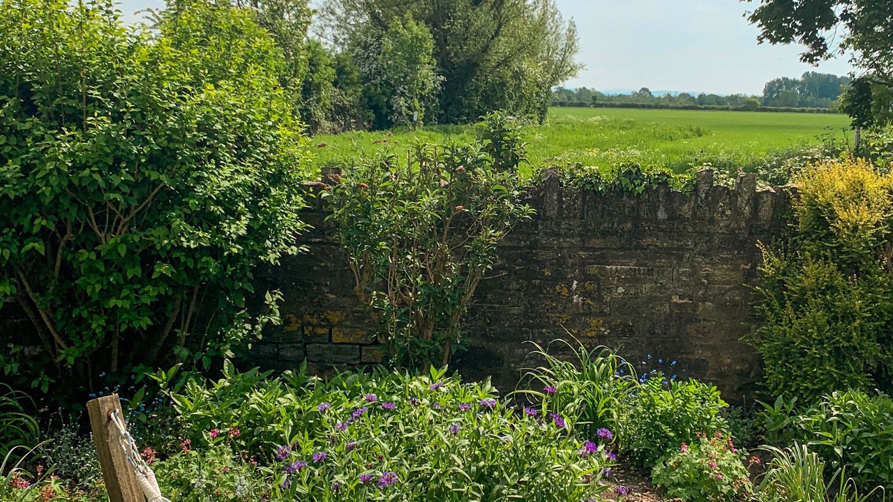 Photo of Outdoor in Muchelney