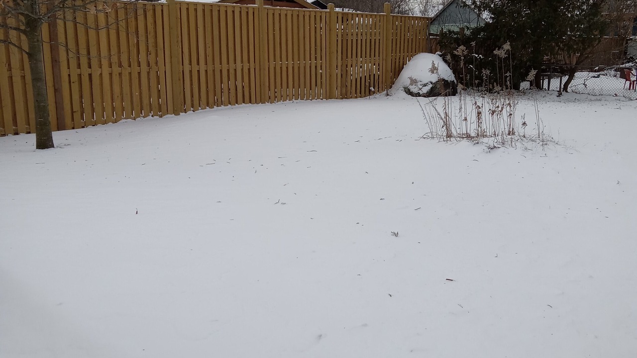 Photo of Others in Alcona