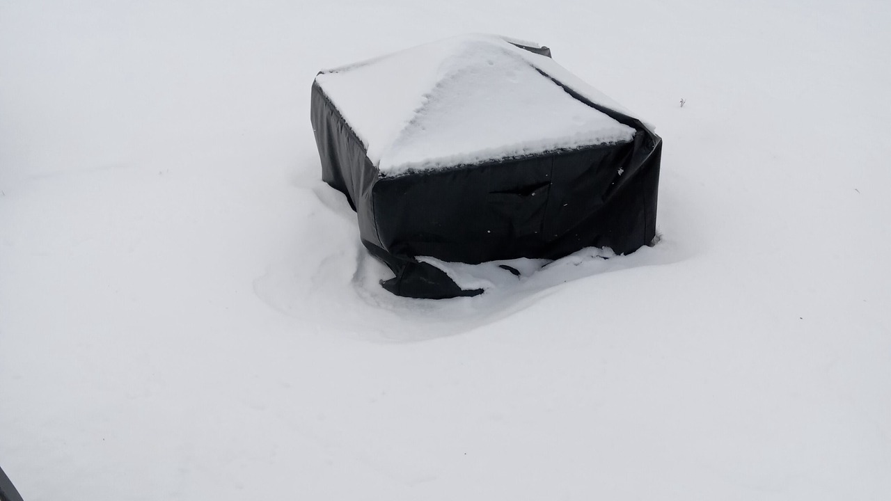 Photo of Others in Alcona