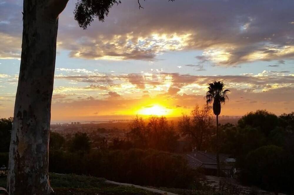 Photo of Others in Encanto