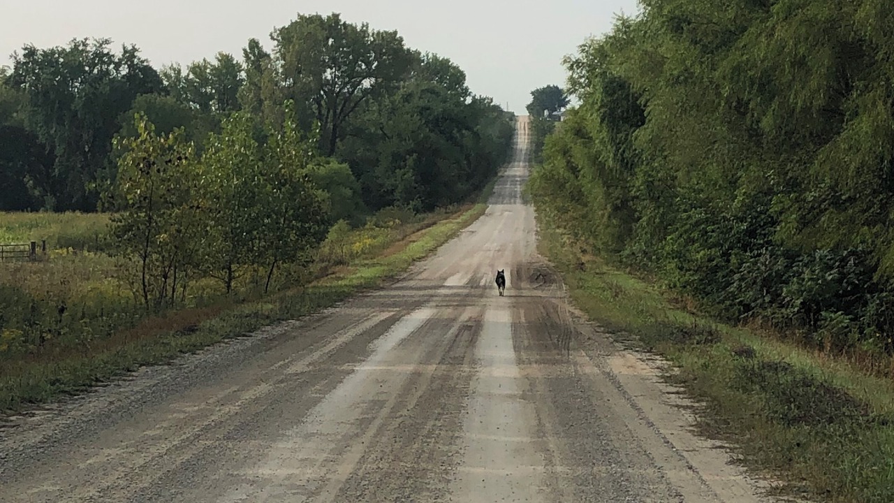Photo of Others in Warren County