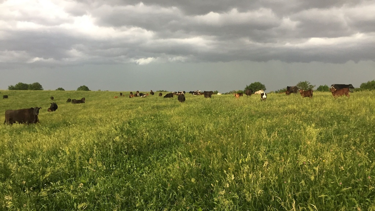 Photo of Outdoor in Warren County
