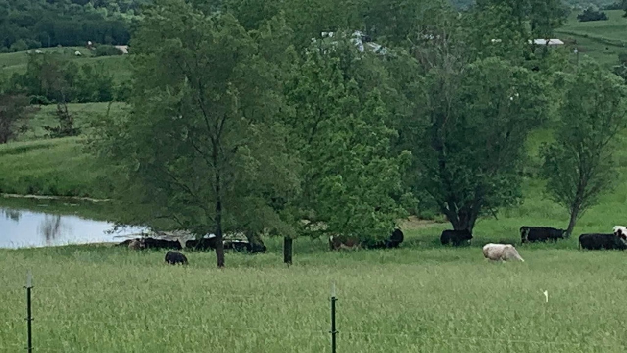 Photo of Others in Warren County