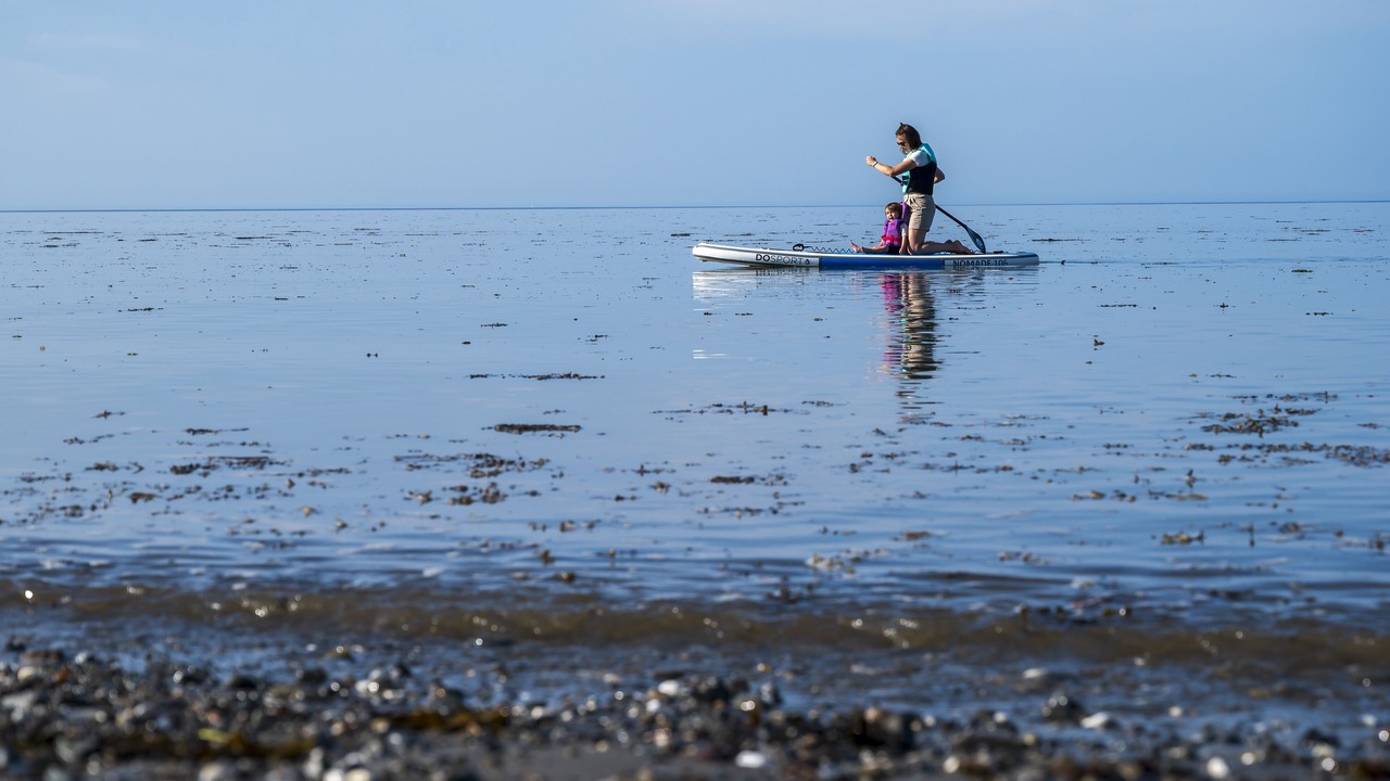 Photo of Others in Rimouski
