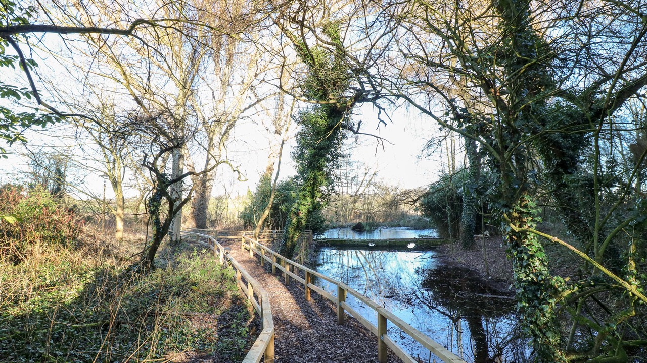 Photo of Outdoor in Mansfield