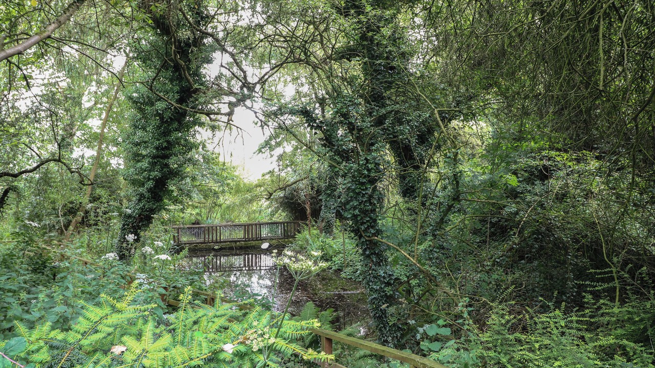 Photo of Outdoor in Mansfield