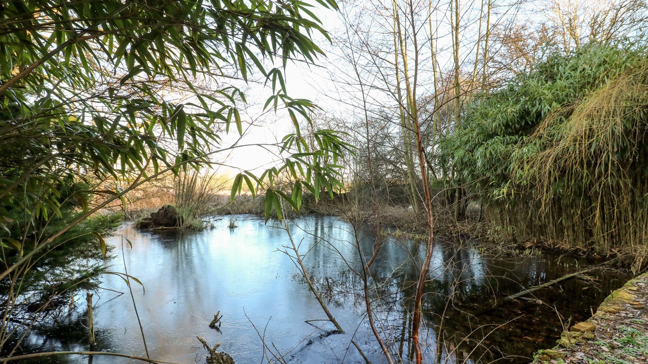 Photo of Others in Mansfield