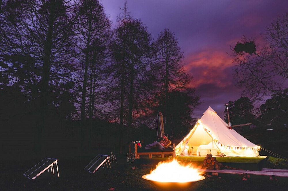 Photo of Others in Lemon Tree