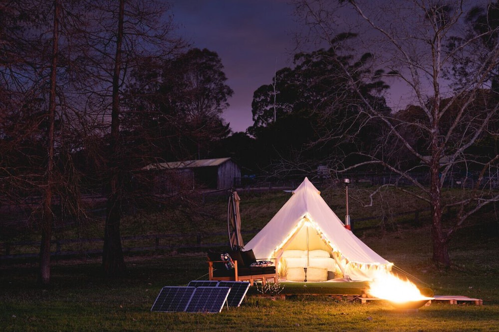 Photo of Others in Lemon Tree