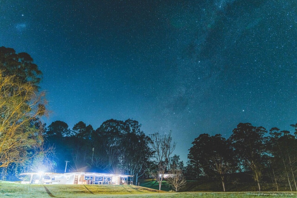 Photo of Others in Lemon Tree