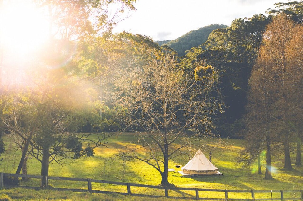 Photo of Others in Lemon Tree