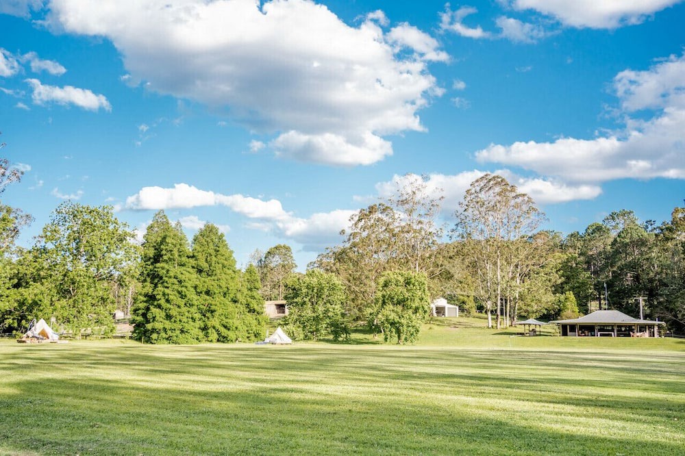 Photo of Others in Lemon Tree
