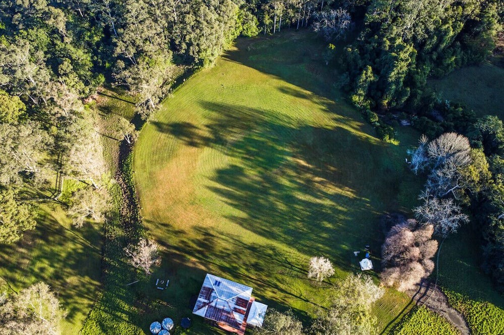 Photo of Others in Lemon Tree